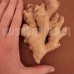 Ginger for urethral figging
